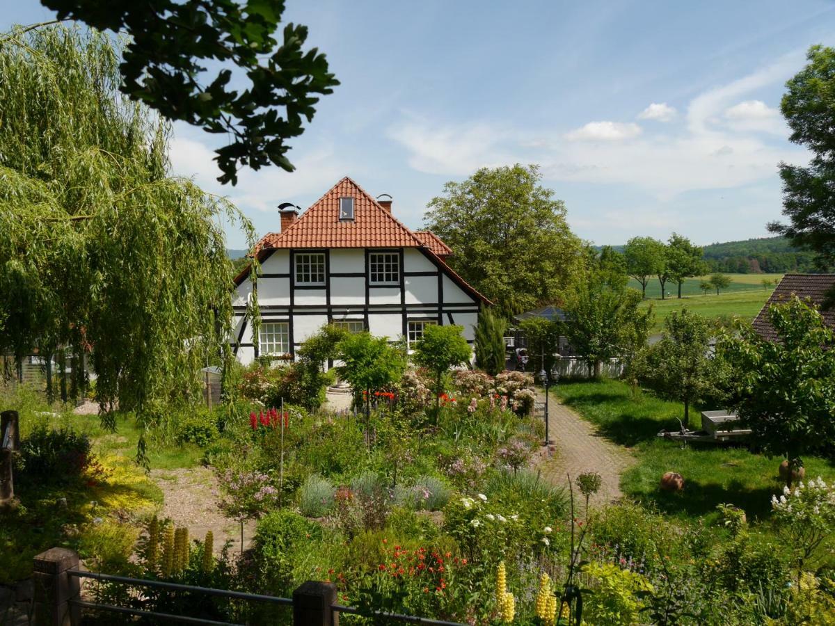 Ferienwohnung Weserblick Polle ภายนอก รูปภาพ