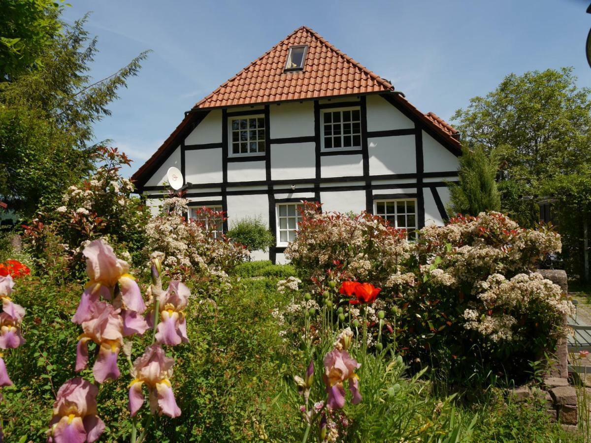 Ferienwohnung Weserblick Polle ภายนอก รูปภาพ